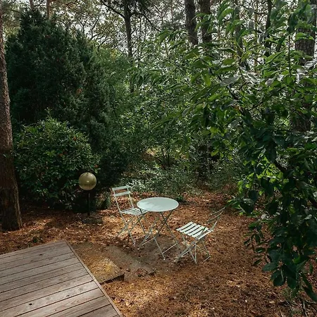 Modernes Tiny House Im Spreewald Σπίτι διακοπών